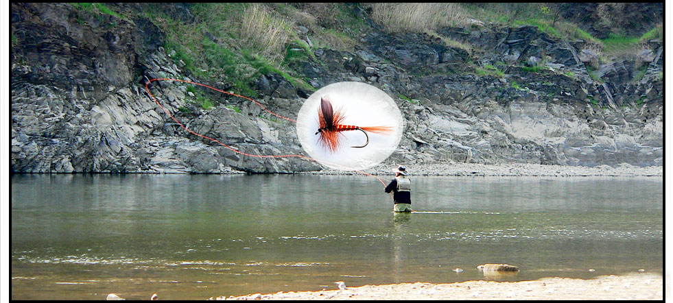 Fly Hook Main
