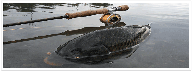 CARP HOOKS